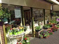 West Malling Flowers 1081198 Image 3